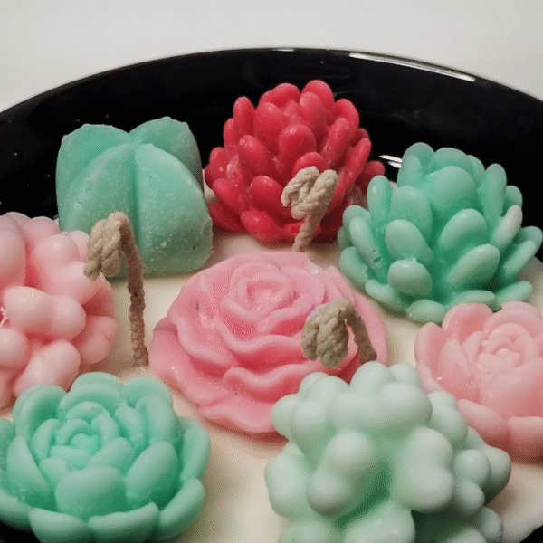 Vela Jardín Mini con Suculentas - Imagen 3