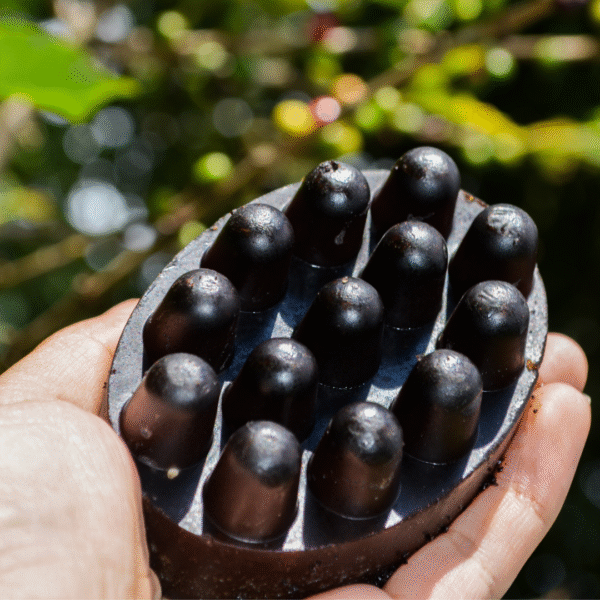 Jabón Masajeador de café exfoliante - Imagen 2